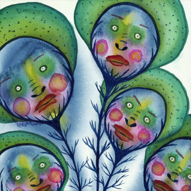 The Flowers